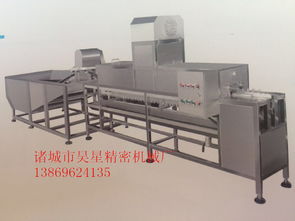 中小型洗蛋機 諸城市昊星精密機械廠